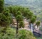 Brazil, Rio Grande do Sul, Gramado Canela, Parque do Caracol Cascata Extraordinary Nature Waterfall, Landscape View
