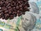 Brazil roasted coffee beans placed on banknotes