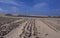 Brazil: The sand dunes of Baleia Ze do Lago near Icarai