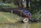 Brazil, Santarem: Living at the Amazon River - Repairing a Boat