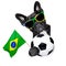 Brazil soccer dog