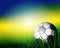 Brazil Summer 2014. Soccer Ball on background for Football Design