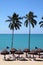 Brazil tropical palm lined beach