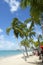 Brazilian Beach Palm Trees Maceio Nordeste Brazil