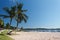 Brazilian beach with vegetation