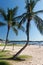 Brazilian beach with vegetation