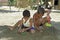 Brazilian children playing with toy trucks