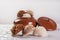 Brazilian cocada coconut candy placed in a ceramic pot on a table with white tablecloth, selective focus