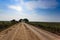 Brazilian dirt road in perspective