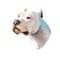 Brazilian Dogo dog breed isolated on white digital art illustration. Brazilian Dogge Molosser-type working dog originating Brazil