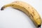 Brazilian dwarf banana alone with white background for clipping and shadow