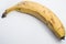 Brazilian dwarf banana alone with white background for clipping and shadow