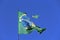 Brazilian flag torn in strong wind