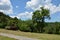 Brazilian forest in the sun, Serra Park,  Canela, Brazil