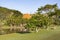 Brazilian landscapes hacienda for holidays, Rio Grande do Sul, Brazil