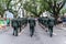 Brazilian military officers are seen parading during the independence commemoration