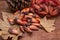 Brazilian pine fruit pinion on wooden background