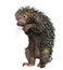 Brazilian Porcupine, Coendou prehensilis