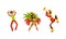 Brazilian Samba Dancer in Bright Feathered Costume and Musician Playing Maraca and Trumpet Vector Set