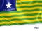 Brazilian state Piaui flag.