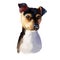 Brazilian Terrier dog breed isolated on white background digital art illustration. Fox terrier breed dog developed in Brazil, cute