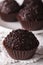 Brazilian truffle candy Brigadeiro macro. Vertical