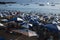 Brazilians and tourists bathe at Porto da Barra beach