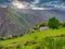 Braña El Monte flock of shepherds, Somiedo Natural Park and Biosphere Reserve, Cores village, Asturias, Spain