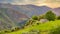 Braña El Monte flock of shepherds, Somiedo Natural Park and Biosphere Reserve, Cores village, Asturias, Spain