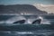 Breaching Giants Ocean Landscape with Majestic Whales Jumping in the Distance