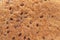 Bread brown crusty texture