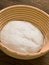 Bread dough in proofing basket