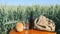 Bread, Kvass and a bag of wheat on the table in wheat field on sunny cloudy windy August day