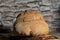 The bread of Matera, Pane di Matera on rustic wooden background, typical southen italian sourdough bread, close up