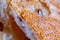 Bread with raisins and flaxseeds. Close-up. Macro. Soft focus