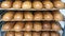 Bread shelves stand in bakery or supermarket