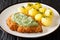 Breaded schnitzel with boiled potatoes and Frankfurt green sauce close-up in a plate. horizontal