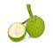 Breadfruit isolate on white background.