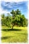 Breadfruit tree stands alone in a clearing