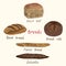 Breads variety set: batch loaf, seed, bread rolls, French bread and lafayette, hand drawn doodle, sketch, vector