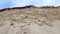 Break-line of a dune on the island of Sylt in Germany