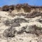 Break-line of a dune on the island of Sylt after a storm