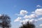 A Break in the Storms over Fresno with Red-Tailed Hawk