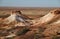 The Breakaways. Gibber Plains and mica pits of South Australia