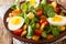 Breakfast of boiled eggs and salad of lupine beans, tomatoes and common cornsalad close-up in a plate. horizontal