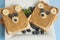 Breakfast Toast Bear Shaped Peanut Butter Banana Bread Blueberry for Kids. Funny animal face toast for kids snack. Blue Background