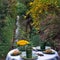 Breakfeast table dressed in rural scene