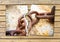 Breaking the chains - concept image with a ripped photo of an old rusty metal chain on wooden background