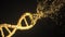 Breaking golden DNA molecule. Loopable conceptual 3D animation