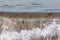 Breaking sea wave carrying red algae seaweed plants and particle